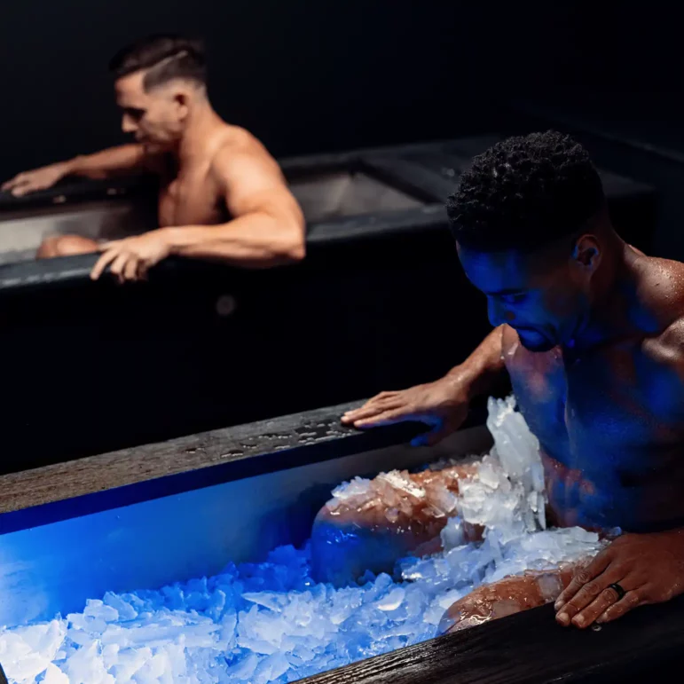 Salus Ice Ice Baths